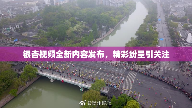 银杏视频全新内容发布，精彩纷呈引关注