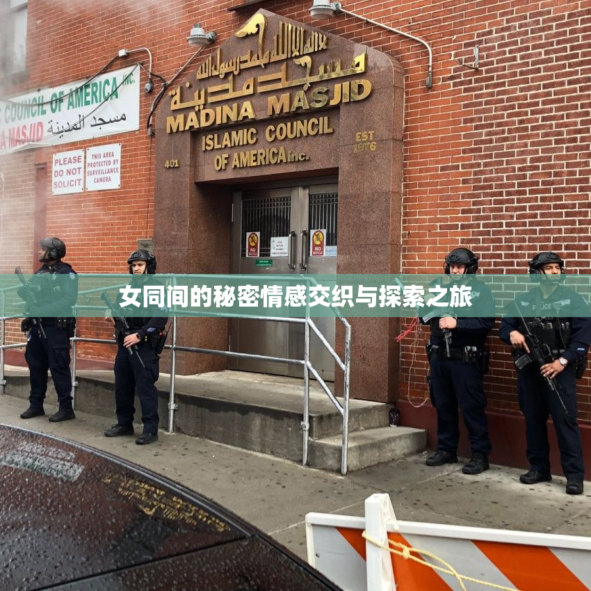 女同间的秘密情感交织与探索之旅