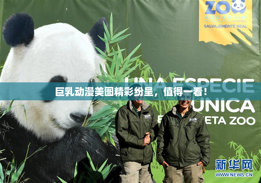 巨乳动漫美图精彩纷呈，值得一看！