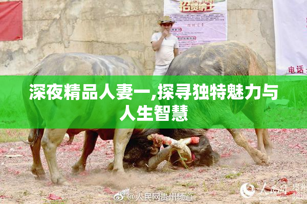 深夜精品人妻一,探寻独特魅力与人生智慧