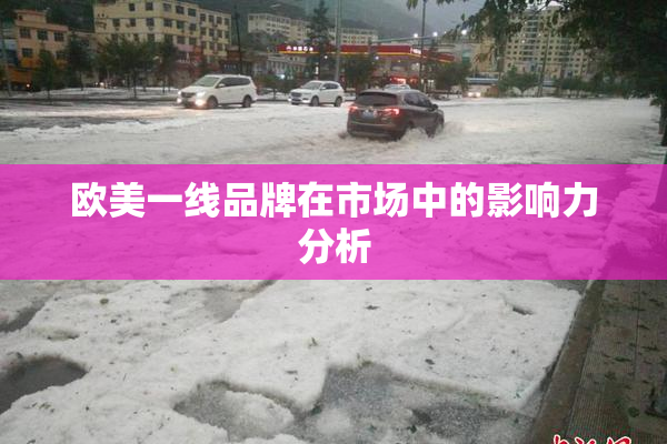 欧美一线品牌在市场中的影响力分析