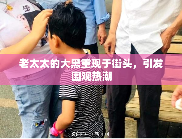 老太太的大黑重现于街头，引发围观热潮