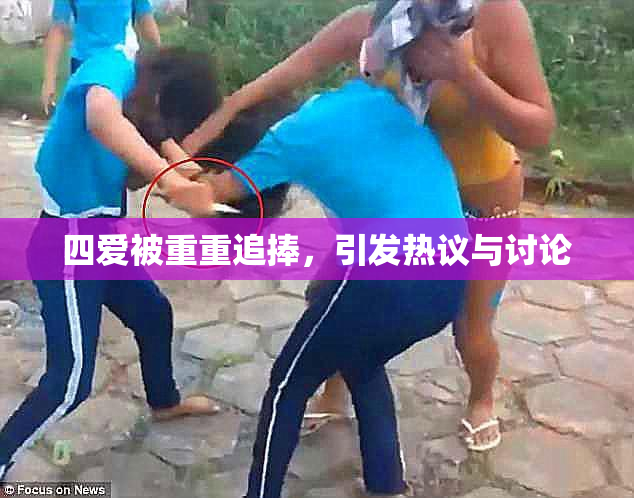 四爱被重重追捧，引发热议与讨论