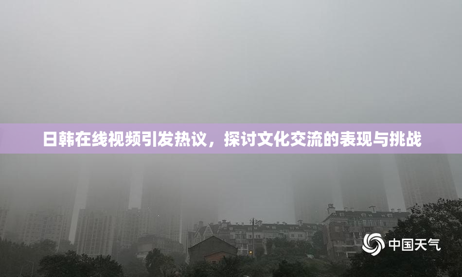 日韩在线视频引发热议，探讨文化交流的表现与挑战