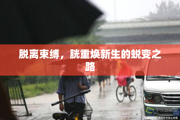 脱离束缚，胱重焕新生的蜕变之路
