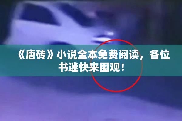 《唐砖》小说全本免费阅读，各位书迷快来围观！