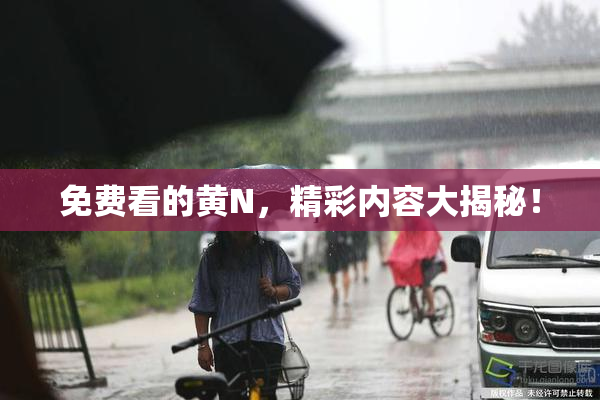 免费看的黄Ν，精彩内容大揭秘！