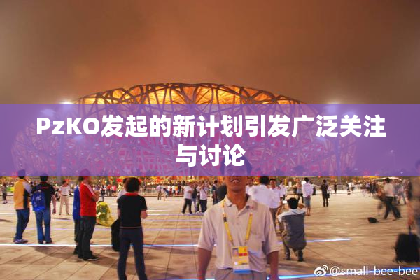 PzKO发起的新计划引发广泛关注与讨论