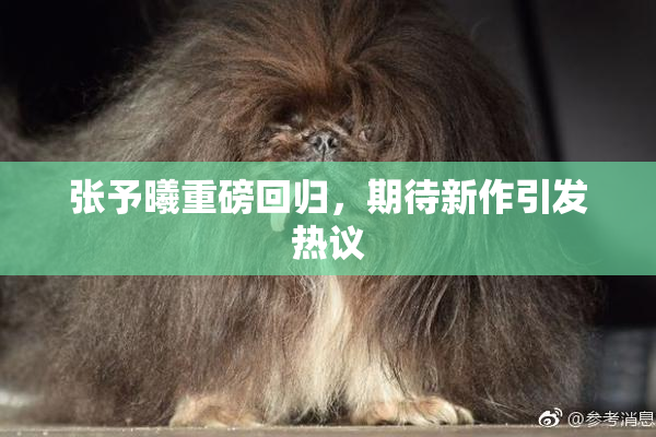 张予曦重磅回归，期待新作引发热议