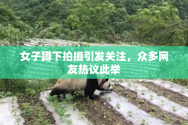女子蹲下拍摄引发关注，众多网友热议此举