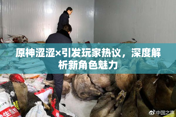原神涩涩×引发玩家热议，深度解析新角色魅力