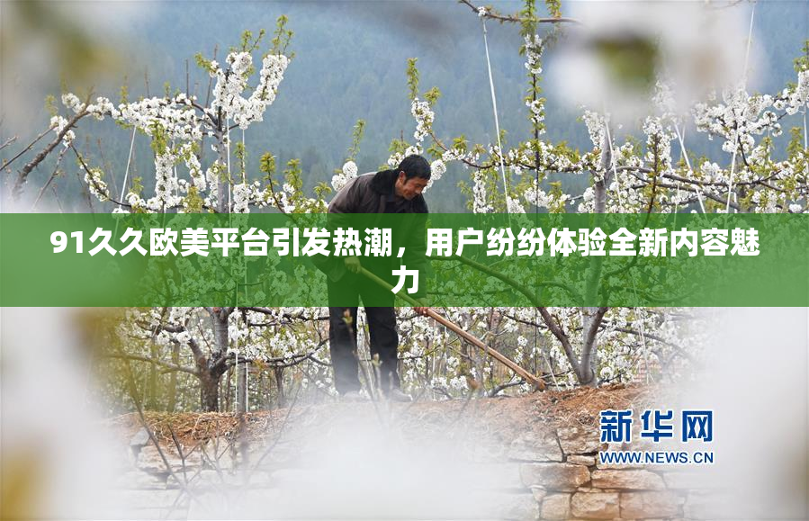 91久久欧美平台引发热潮，用户纷纷体验全新内容魅力