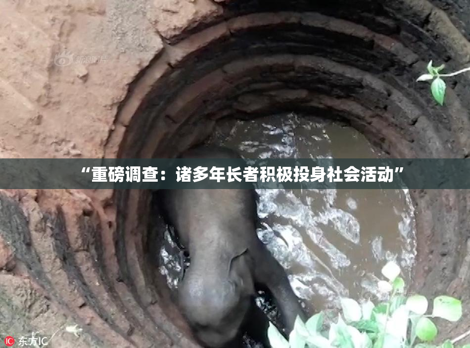 “重磅调查：诸多年长者积极投身社会活动”