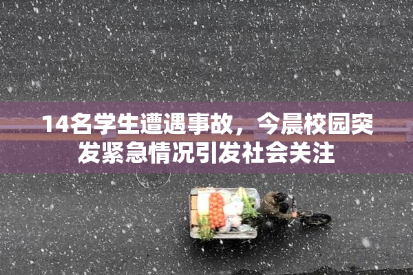 14名学生遭遇事故，今晨校园突发紧急情况引发社会关注