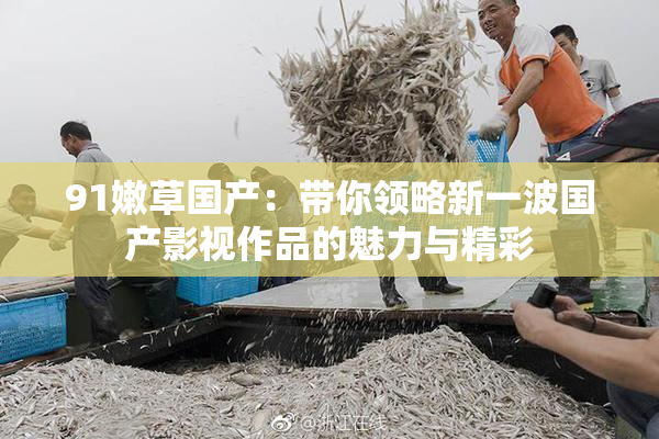 91嫩草国产：带你领略新一波国产影视作品的魅力与精彩