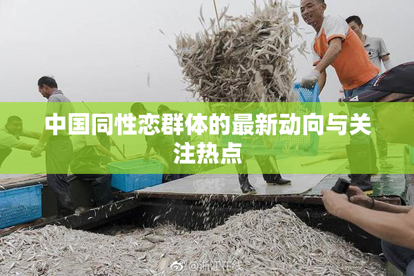 中国同性恋群体的最新动向与关注热点