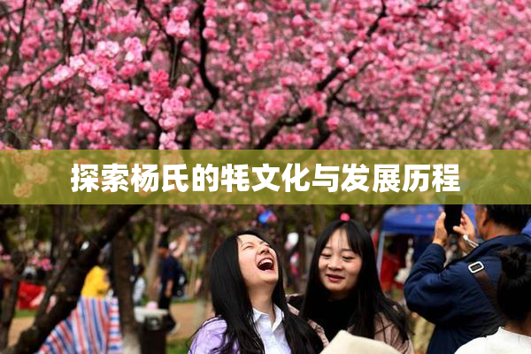 探索杨氏的牦文化与发展历程