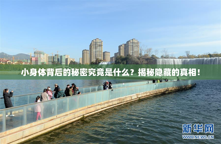 小身体背后的秘密究竟是什么？揭秘隐藏的真相！