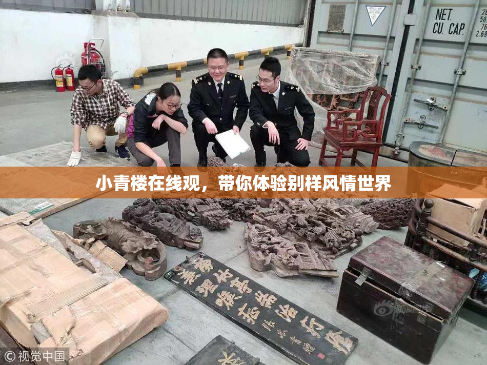 小青楼在线观，带你体验别样风情世界