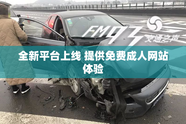 全新平台上线 提供免费成人网站体验