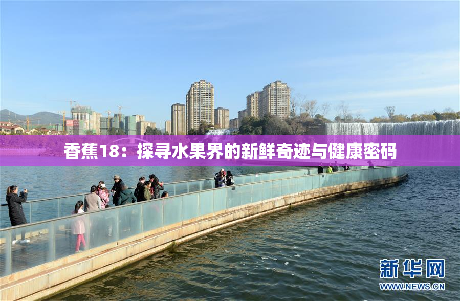 香蕉18：探寻水果界的新鲜奇迹与健康密码