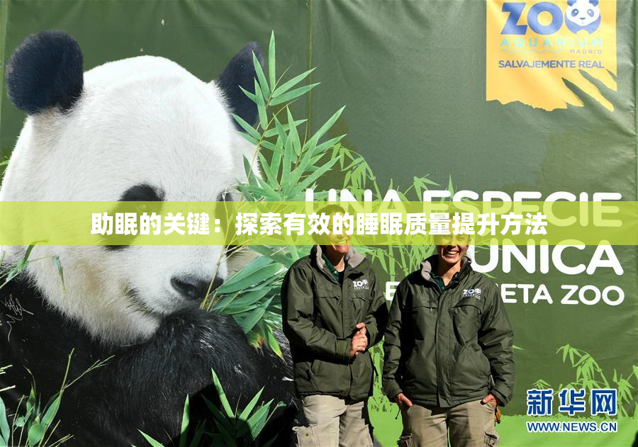 助眠的关键：探索有效的睡眠质量提升方法