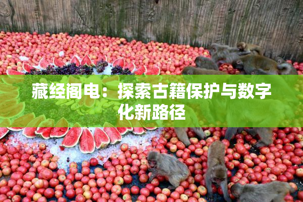 藏经阁电：探索古籍保护与数字化新路径