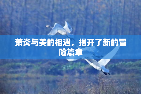萧炎与美的相遇，揭开了新的冒险篇章