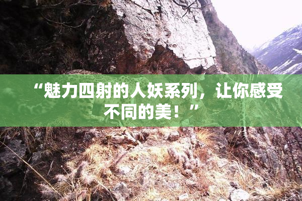 “魅力四射的人妖系列，让你感受不同的美！”