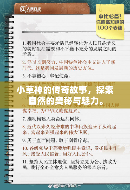 小草神的传奇故事，探索自然的奥秘与魅力。