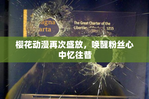樱花动漫再次盛放，唤醒粉丝心中忆往昔