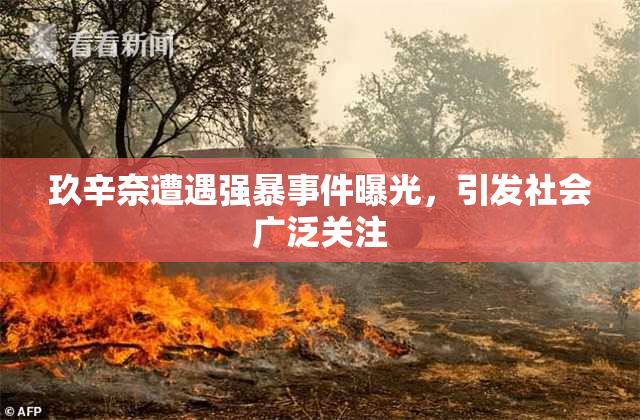 玖辛奈遭遇强暴事件曝光，引发社会广泛关注