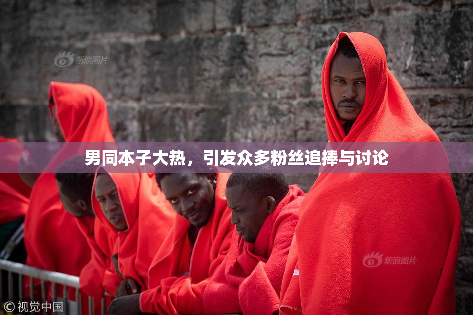 男同本子大热，引发众多粉丝追捧与讨论