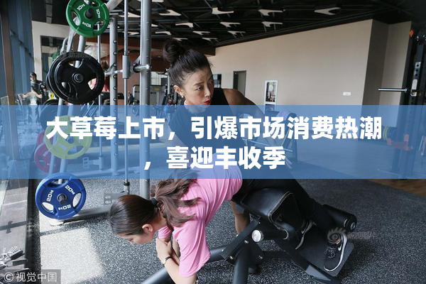 大草莓上市，引爆市场消费热潮，喜迎丰收季
