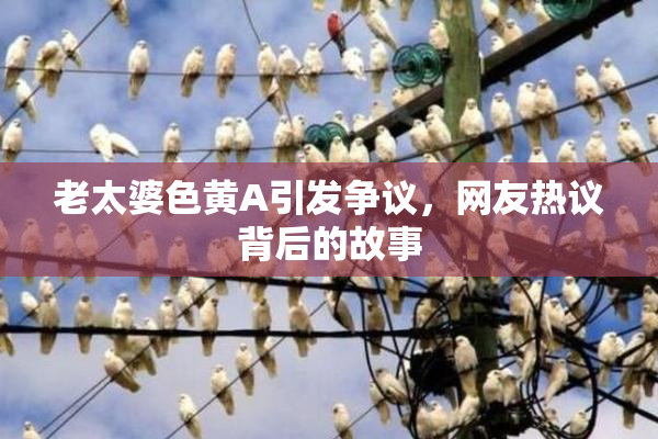 老太婆色黄A引发争议，网友热议背后的故事