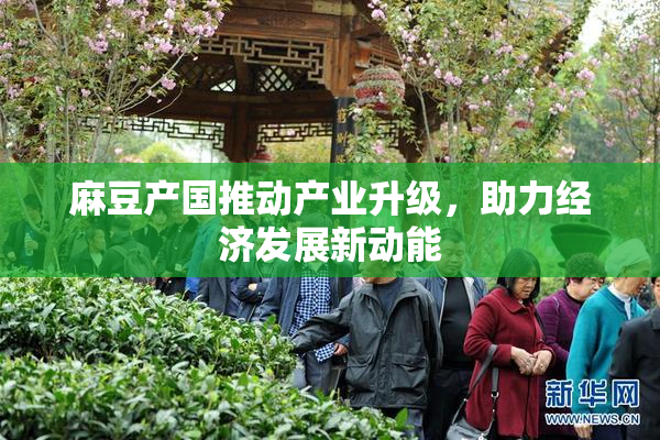 麻豆产国推动产业升级，助力经济发展新动能