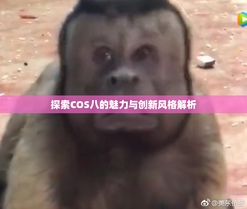 探索COS八的魅力与创新风格解析