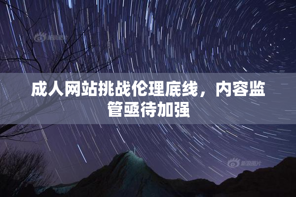 成人网站挑战伦理底线，内容监管亟待加强