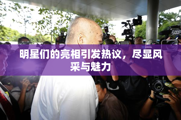 明星们的亮相引发热议，尽显风采与魅力