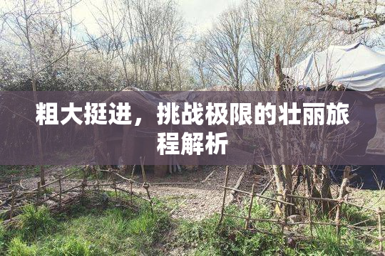 粗大挺进，挑战极限的壮丽旅程解析