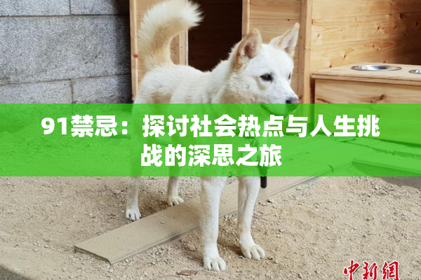 91禁忌：探讨社会热点与人生挑战的深思之旅