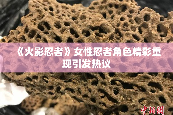 《火影忍者》女性忍者角色精彩重现引发热议