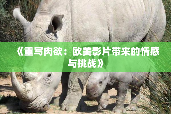 《重写肉欲：欧美影片带来的情感与挑战》
