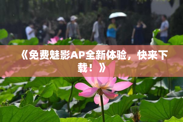《免费魅影AP全新体验，快来下载！》