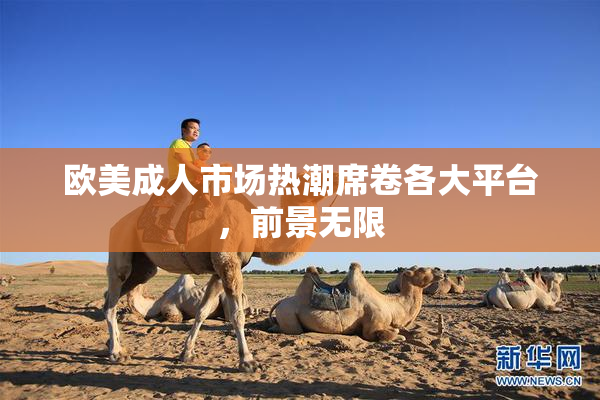 欧美成人市场热潮席卷各大平台，前景无限
