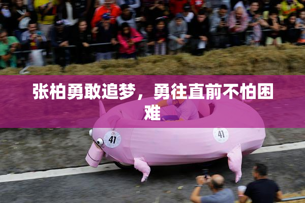 张柏勇敢追梦，勇往直前不怕困难