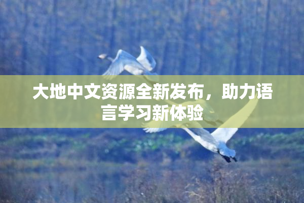 大地中文资源全新发布，助力语言学习新体验