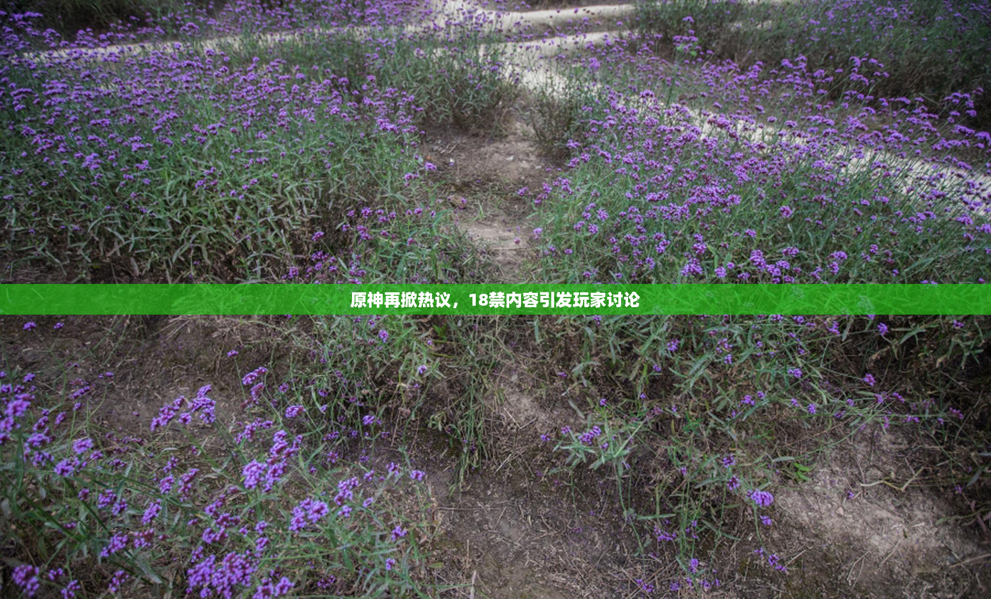 原神再掀热议，18禁内容引发玩家讨论