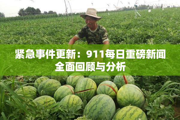 紧急事件更新：911每日重磅新闻全面回顾与分析