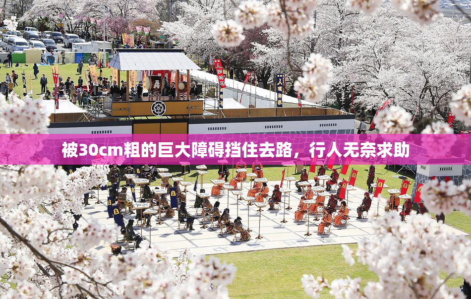 被30cm粗的巨大障碍挡住去路，行人无奈求助